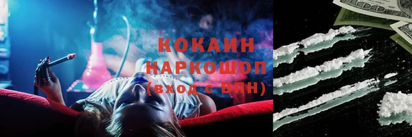 прущие грибы Беломорск