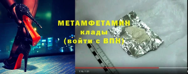 прущие грибы Беломорск