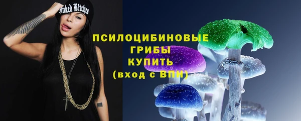 PSILOCYBIN Белоозёрский