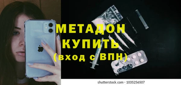 прущие грибы Беломорск