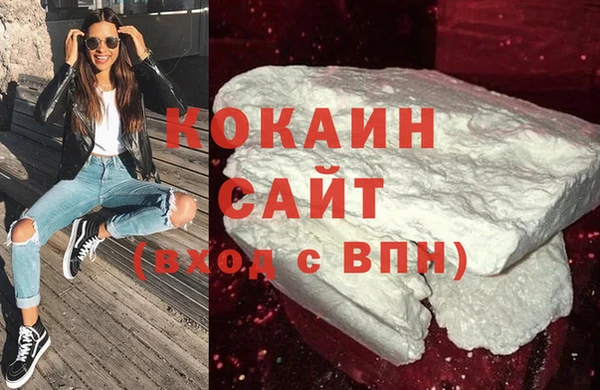 прущие грибы Беломорск