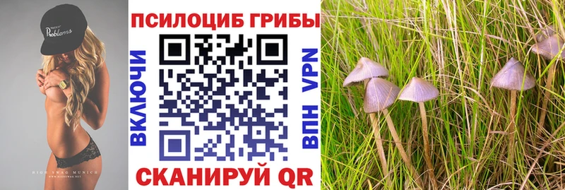 Псилоцибиновые грибы прущие грибы  Корсаков 